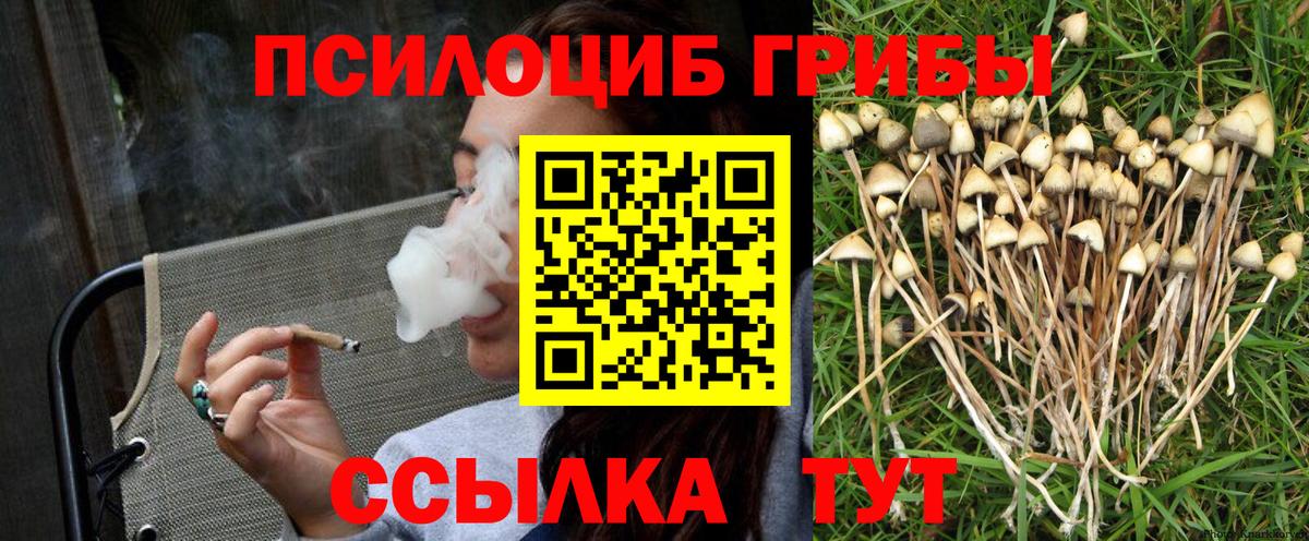Псилоцибиновые грибы Magic Shrooms Кропоткин