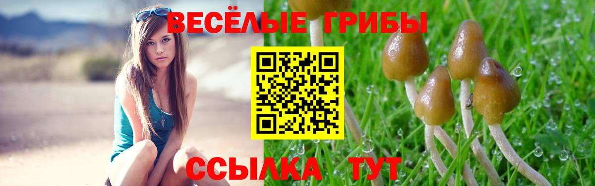 Галлюциногенные грибы Psilocybe  Галлюциногенные грибы мицелий  Кропоткин  Вход с VPN 